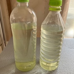 メダカ用ゾウリムシ