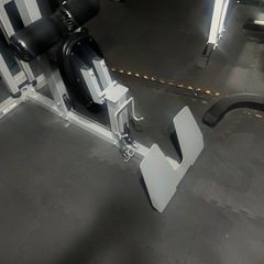 ラットプルダウンマシン ラットマシン 【impulse/インパルス】の画像