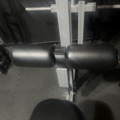 ラットプルダウンマシン ラットマシン 【impulse/インパルス】の画像