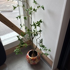花瓶
