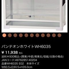 パ爬虫類 
ケージ
