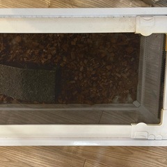 爬虫類  ケージの画像