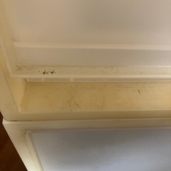 【決まりました】衣装ケース（まとめて①）の画像