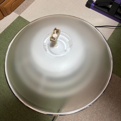 照明