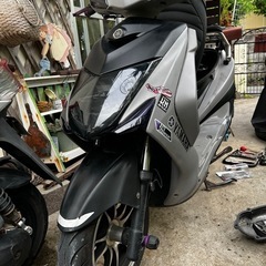 シグナス3型　国内