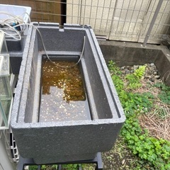 GEX ジェックス メダカ元気 快適繁殖ケース L [繁殖成長専...