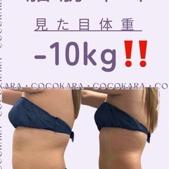 碧南市/脂肪冷却/痩身/ダイエット/切らない脂肪吸引★地域最安値の4カップ￥10,400👀✨️ - ボディケア