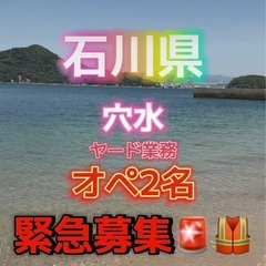 緊急❗️オペ2名募集