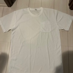シャツLL