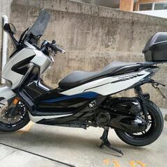 フォルツァ⭐️mf13