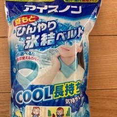 アイスノン