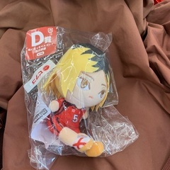 ハイキューＤ賞　