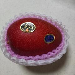 🥭マンゴー