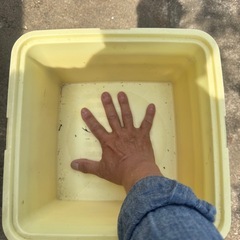 
容器の画像