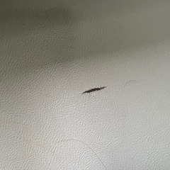 ロフトベッド 多収納の画像