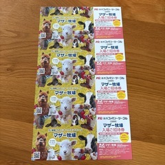 マザー牧場招待券　6/30まで