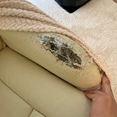 1人用ソファー  
の画像