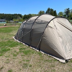 サバティカル　アルニカの画像