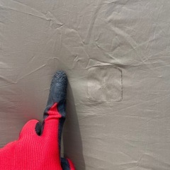 サバティカル　アルニカの画像