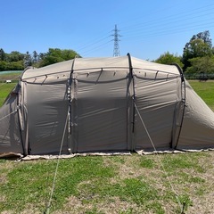 サバティカル　アルニカ