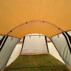 サバティカル　アルニカの画像