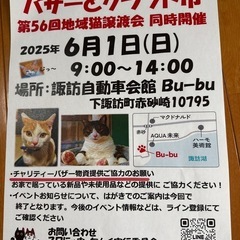 猫譲渡会　6/1 日曜日　下諏訪にて