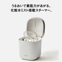 PanasonicナノケアスチーマーEH-SA0Bの画像