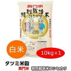 特別栽培米　白米　こしひかり10kg×1