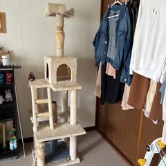 キャットタワー
