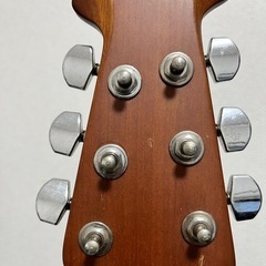 エレクトリックアコースティックギターの画像