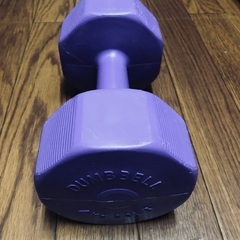 4Kg  ダンベル　トレーニング　筋トレの画像