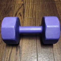 4Kg  ダンベル　トレーニング　筋トレの画像
