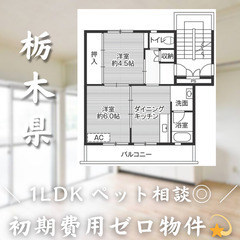 【烏山／1LDK】✨初期費用0円✨2人入居OK👥ペット相談🐱
