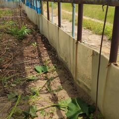 値下　土留等に使うプラか？ビニルか?の画像