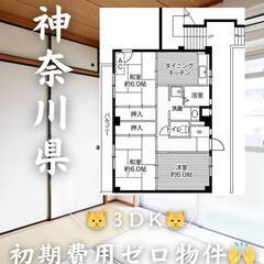 神奈川県相模原市　初期費用ゼロ　家賃81000円　生活保護…