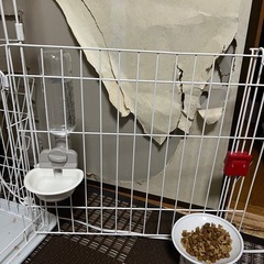 【猫ケージ】IRISスリムキャットケージ 2段の画像