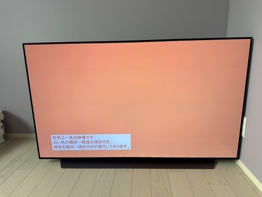 LG 55V型 4Kチューナー内蔵 有機EL テレビ Alexa搭載 ドルビーアトモス 対応 TV OLED55C9PJA