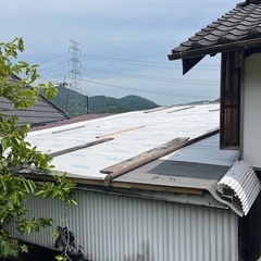 屋根に波板はって欲しい