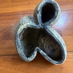 シェルター 爬虫類の画像