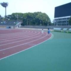 ランニング仲間募集
