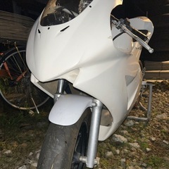 NSF100