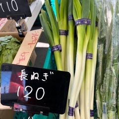 長ネギなど入荷しました☆¥100〜