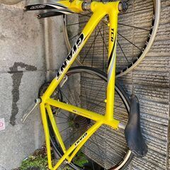 GIANT ROAD BIKEの画像