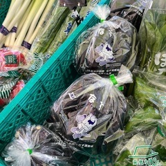 ナス入荷しました✨