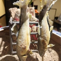 涼しい御料理と日本酒！ − 沖縄県
