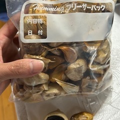 田子町産　黒にんにく　家庭用