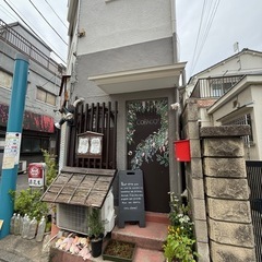 クリーピングタイム（ハーブ）の画像