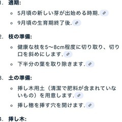クリーピングタイム（ハーブ）の画像