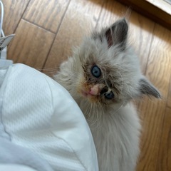 😺好きな人
