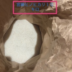 宮崎産ヒノヒカリ 白米 １０キロ